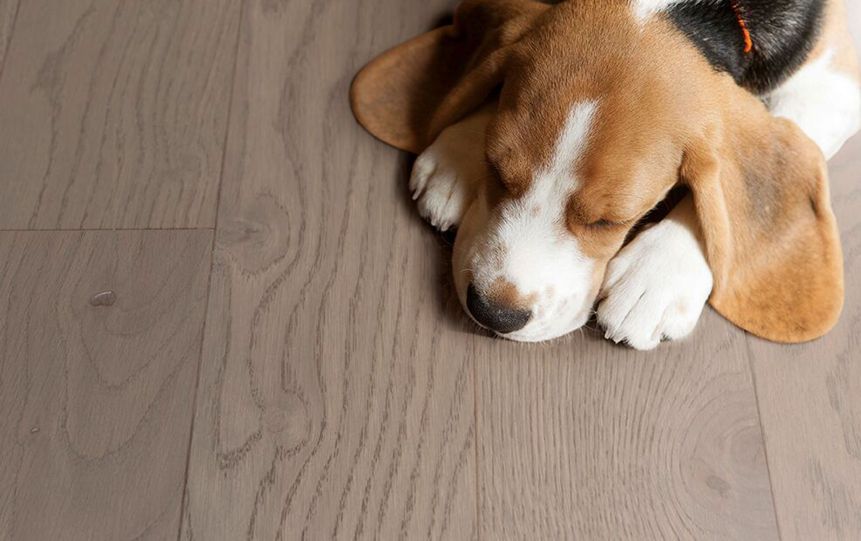 曼哈頓橡木1,進(jìn)口地板