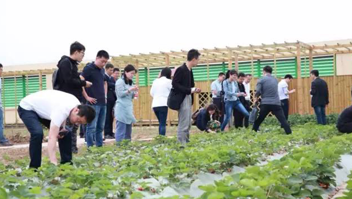 “2017年第五季室內(nèi)設(shè)計-中國行”青島站 | 驚“天”動地，“鋒”起云涌 7