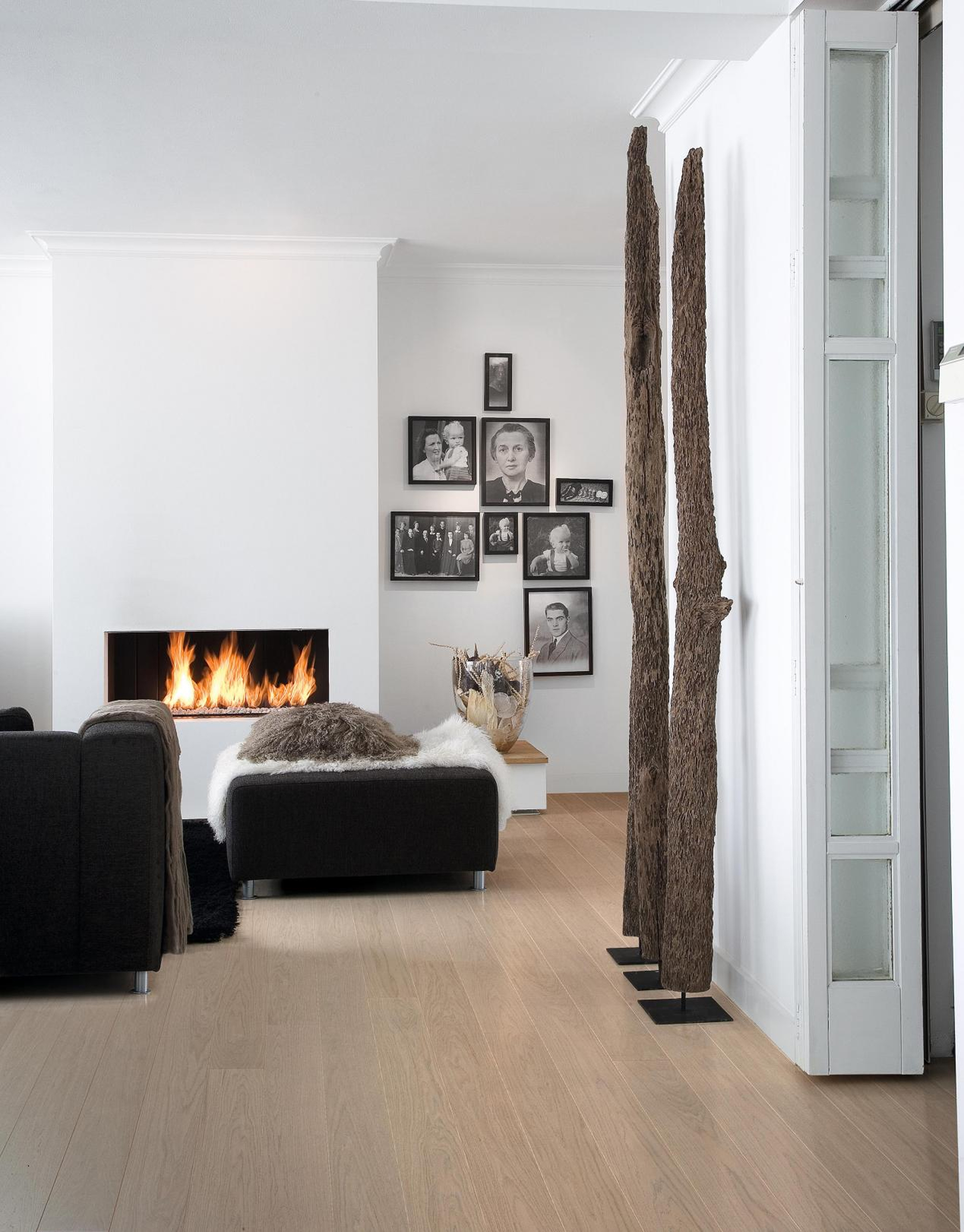 得高天貓年貨節(jié):用好地板,造幸福家 圖片3 得高天貓年貨節(jié):用好地板,造幸福家 圖片3