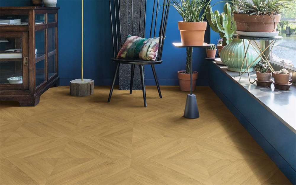 如何不限花期，于家中賞“花”？Come in！ image1