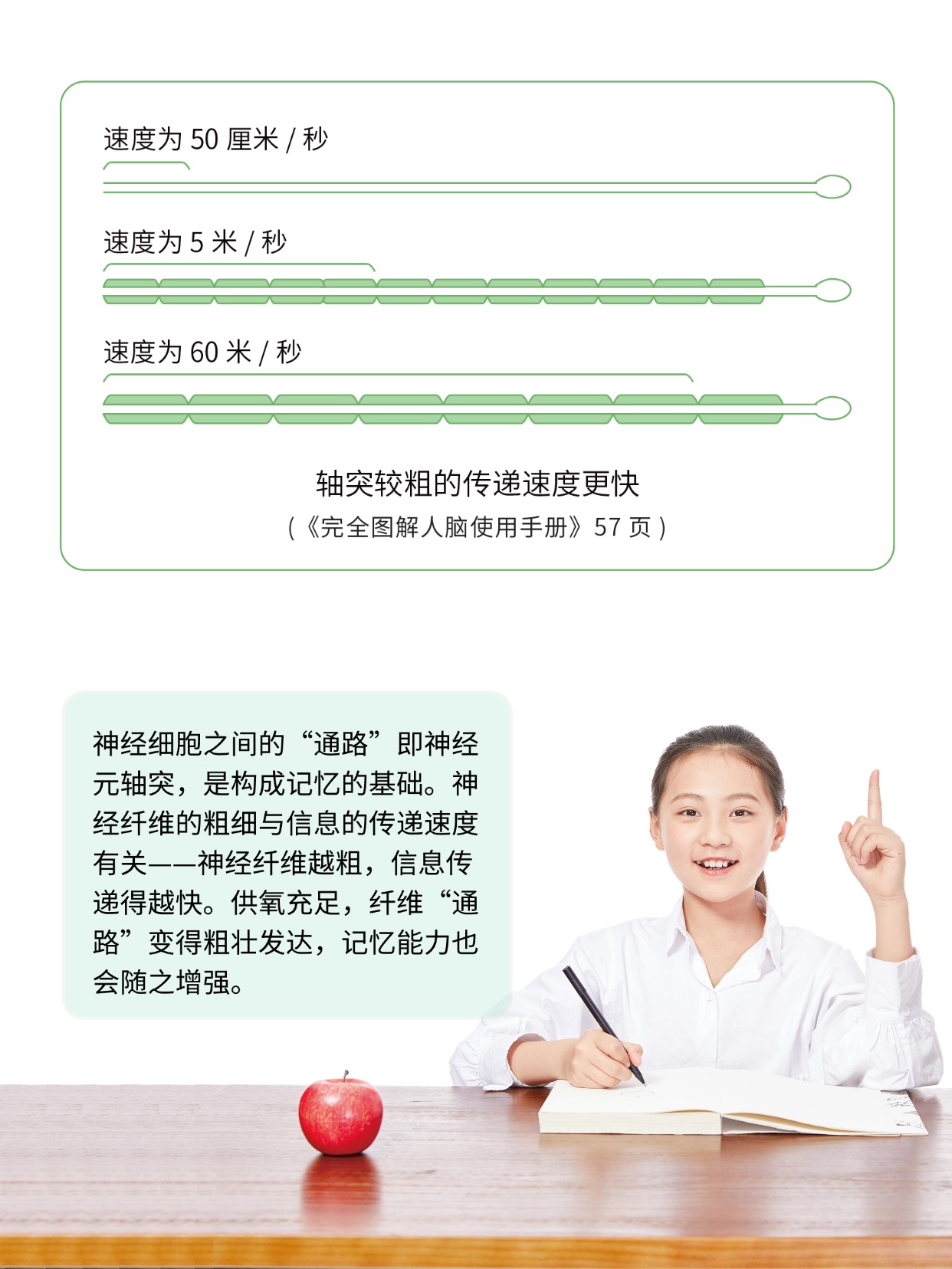 你聽說過能補氧的桌子嗎？有娃家庭直接抄作業(yè) 圖片8