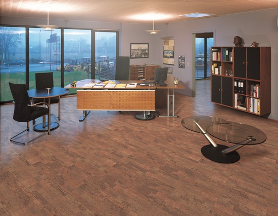 掌握軟木地板冬季保養技巧，輕松延長使用壽命