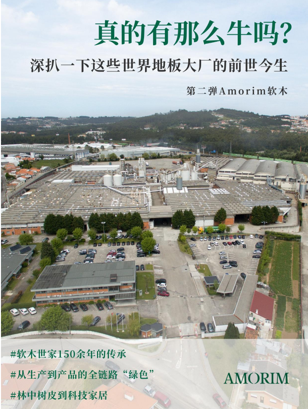 真的有那么牛嗎？深扒一下這些世界地板大廠的前世今生